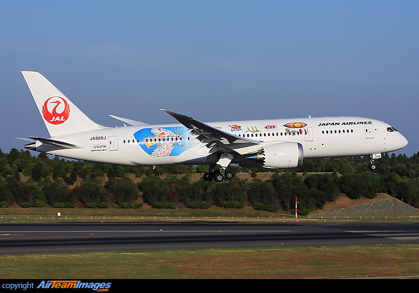 Boeing 787-8 Dreamliner Boeing 787-8 Dreamliner