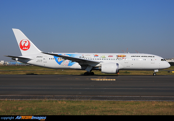Boeing 787-8 Dreamliner Boeing 787-8 Dreamliner