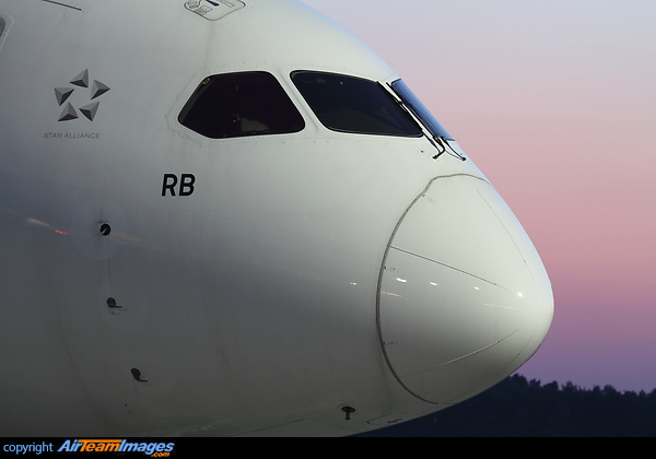 Boeing 787-8 Dreamliner Boeing 787-8 Dreamliner