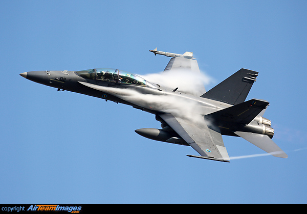 McDonnell Douglas F-18D Hornet McDonnell Douglas F-18D Hornet
