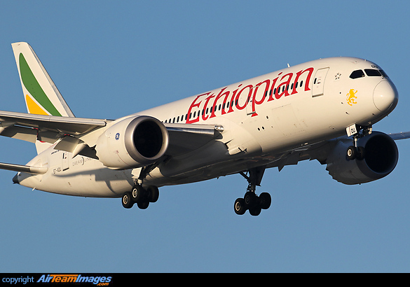 Boeing 787-8 Dreamliner Boeing 787-8 Dreamliner