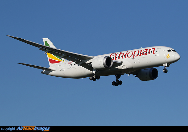 Boeing 787-8 Dreamliner Boeing 787-8 Dreamliner