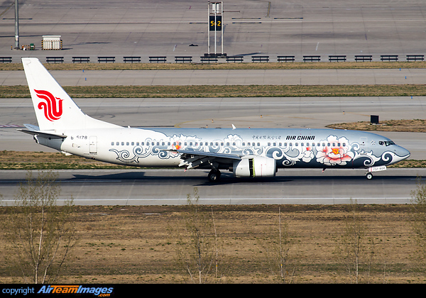 "Silver Peony" Boeing 737-86N
