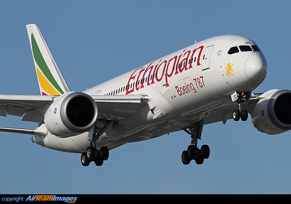Boeing 787-8 Dreamliner Boeing 787-8 Dreamliner
