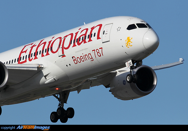 Boeing 787-8 Dreamliner Boeing 787-8 Dreamliner