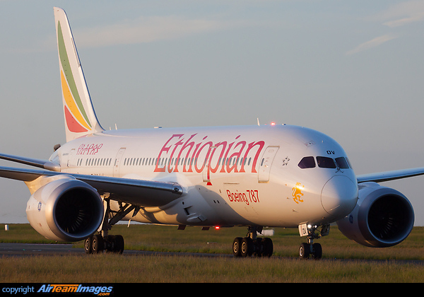 Boeing 787-8 Dreamliner Boeing 787-8 Dreamliner