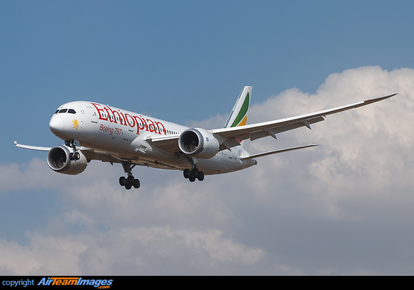 Boeing 787-8 Dreamliner Boeing 787-8 Dreamliner