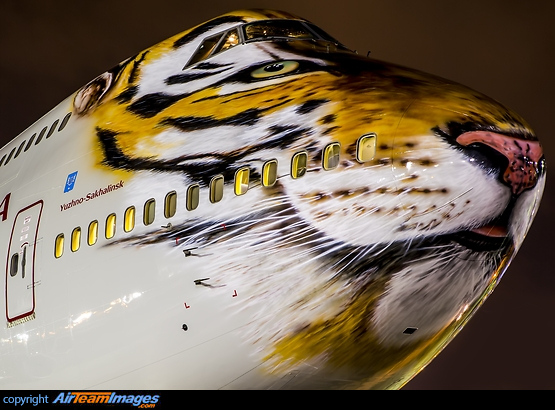 Amur Tiger c/s Boeing 747-446