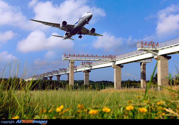Boeing 787-8 Dreamliner Boeing 787-8 Dreamliner