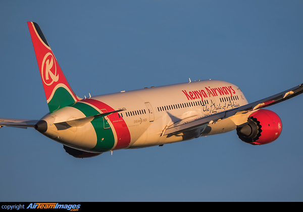 Boeing 787-8 Dreamliner Boeing 787-8 Dreamliner