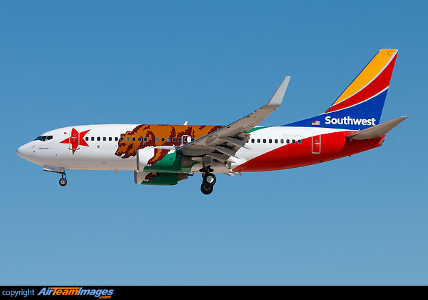 California One special colors Boeing 737-7H4