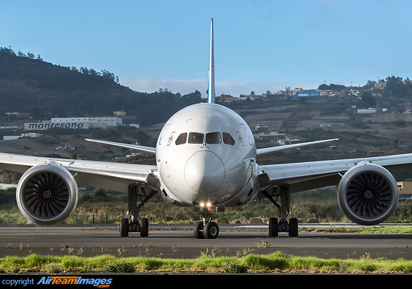 Boeing 787-8 Dreamliner Boeing 787-8 Dreamliner