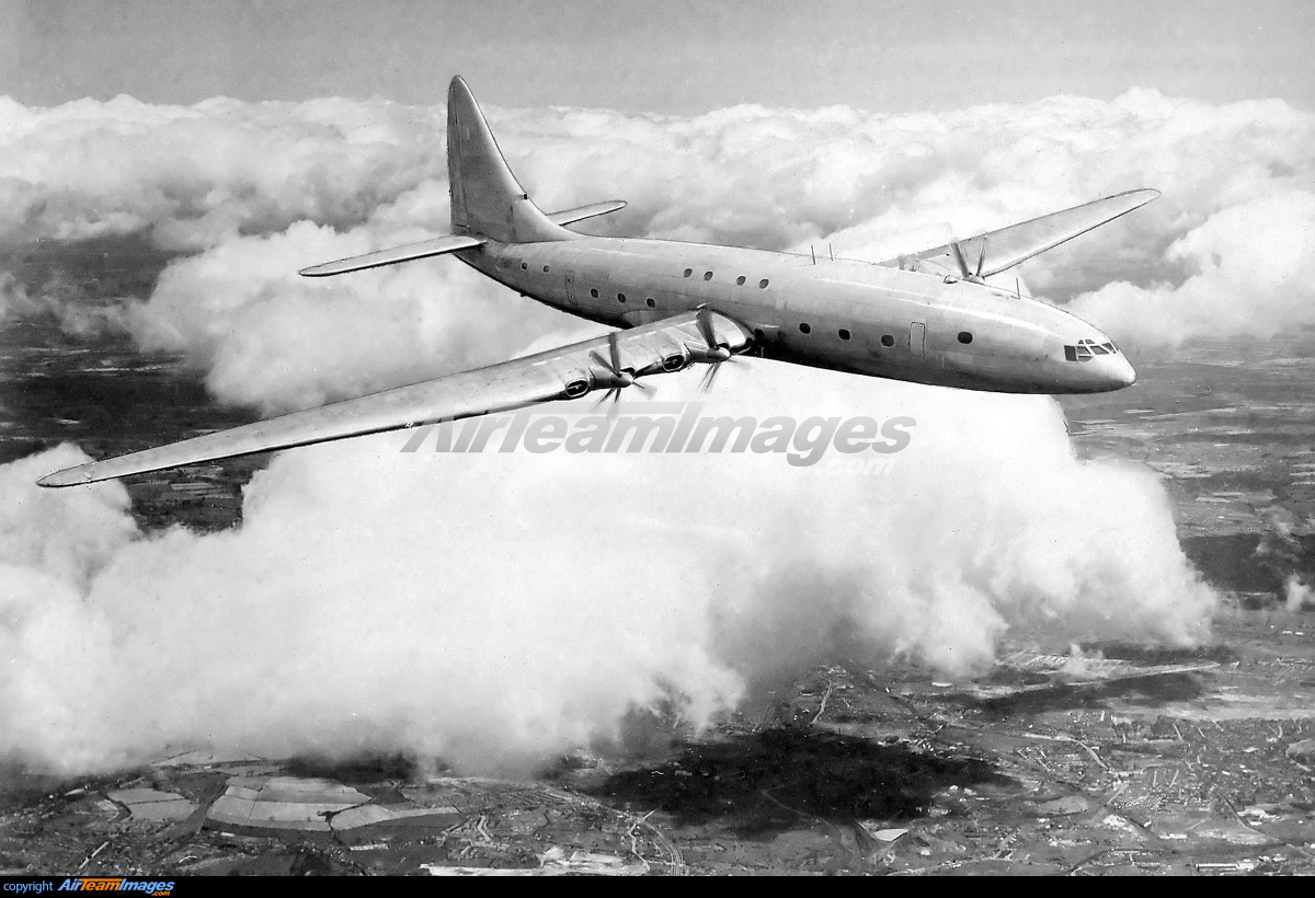 Bristol Brabazon Large Preview