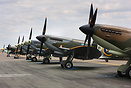 Line up of spitfires at Waddington Airshow 2010