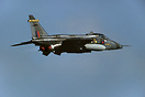 Sepecat Jaguar GR1A