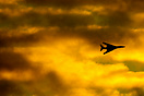 With a setting sun behind the USAF Rockwell B-1B Lancer hauls across a...