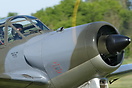 Percival P-56 Provost T1
