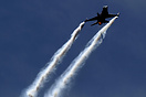 F-16AM Fighting Falcon