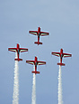 Royal Jordanian Falcons