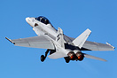 Boeing F/A-18F Super Hornet