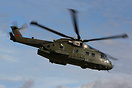 Seen here arriving at Breightons 2011 Heli Fly in
78sq machine