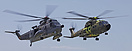 Symbolic display of the retiring S-61 (U-278) and the succeeding EH-10...