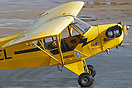 Piper J-3C-65 Cub