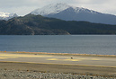 "Runway incursion" made by Sea Otter
