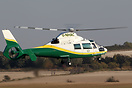 Eurocopter AS-365N2 Dauphin 2