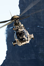 Eurocopter TH89 Cougar