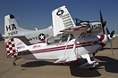 Aviat Christen Eagle II