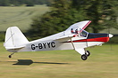 Hapi Cygnet SF-2A