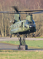 Three CH-47Ds from the RNLAF's 298 Sqn at Gilze-Rijen AB are deployed ...