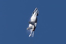 Boeing F/A-18F Super Hornet