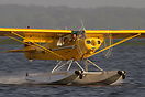 Piper PA-18-150 Super Cub