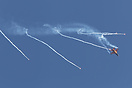 F-16AM Fighting Falcon