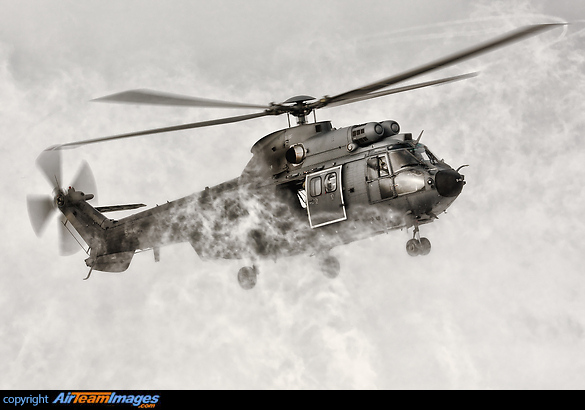 White Out landing of a Royal Netherlands Air Force 'Cougar' helicopter in one of the Dutch training areas. Eurocopter AS-532U2 Cougar Mk2