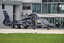 Eurocopter AS-365N3 Dauphin 2