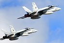 F/A-18A+ Hornet