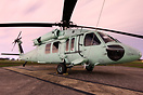 Seafoam Green US Customs and Border Patrol Sikorsky UH-60A Black Hawk.