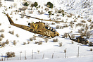 Bell AH-1F Tsefa