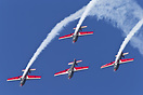 Royal Jordanian Falcons