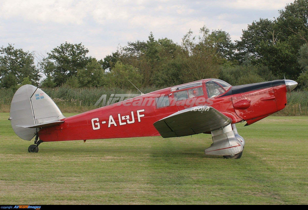 Percival Proctor Large Preview