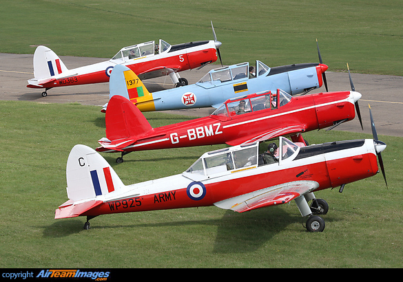 Former Army Middle Wallop based Chipmunk WP925 'C' (G-BXHA) heads a line up of four aircraft at the Duxford Chipfest DHC-1 Chipmunk T.10