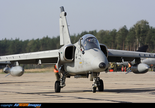 AMX International AMX AMX International AMX