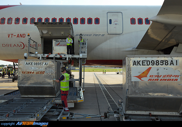 Unloading LD3 containers (ULD - unit load device) from an Air India Boeing 787 Dreamliner. Unloading LD3 Containers