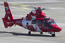 Eurocopter AS-365N2 Dauphin 2