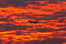 JetBlue flies through an amazing dusk sky. The world seemed like it wa...