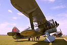 Polikarpov I-15bis