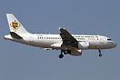 Airbus ACJ319